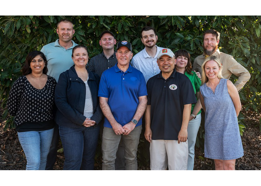 California Avocado Commission selects Curious Plot as agency of record